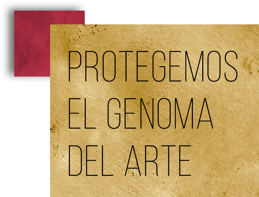PROTEGEMOS TU OBRA DIGITAL